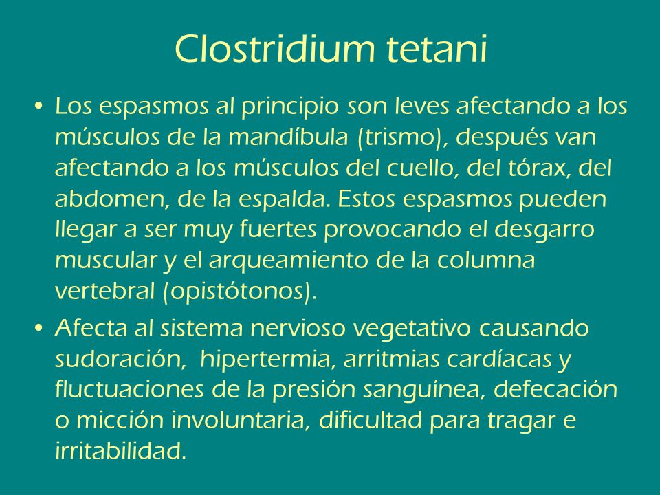 Duele la columna vertebral en los riñones entre las espátulas y en el cuello